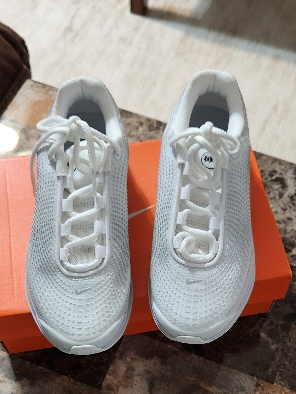Nike Air Max DN White Mesh Running Sneakers